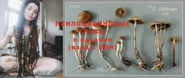 спиды Кулебаки