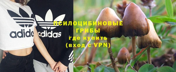 спиды Кулебаки