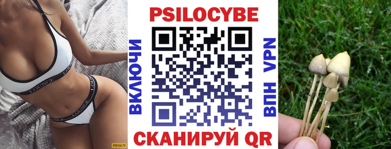 Псилоцибиновые грибы Psilocybe  Новомосковск 