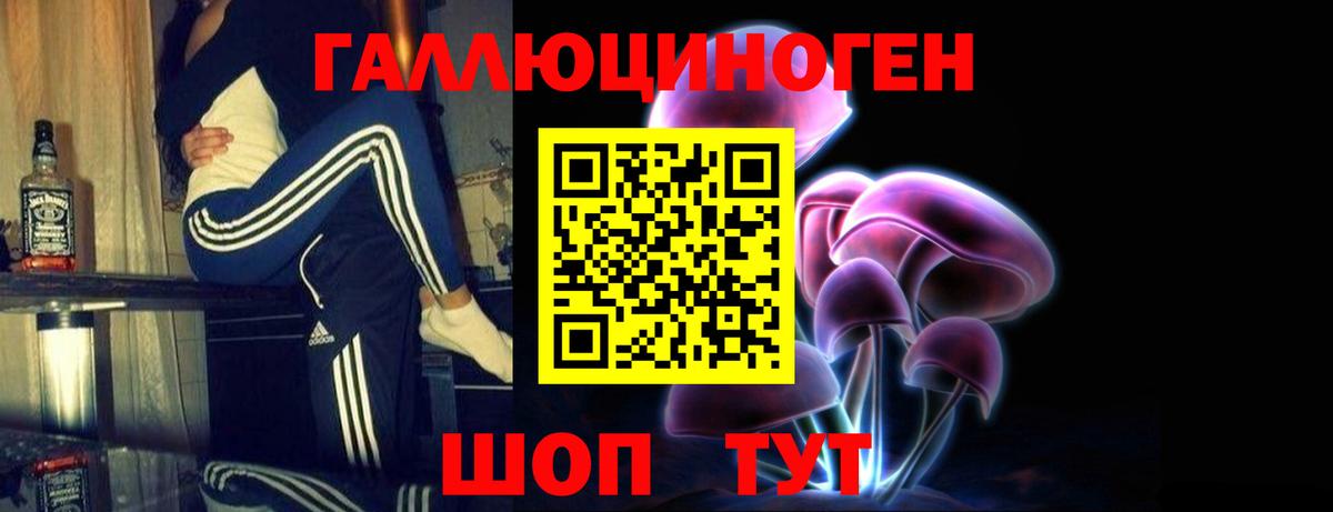 Галлюциногенные грибы мицелий  Вход с VPN  купить наркотики цена  Новомосковск 