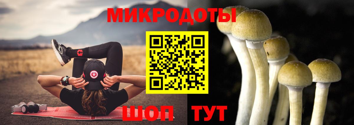 Галлюциногенные грибы MAGIC MUSHROOMS Новомосковск